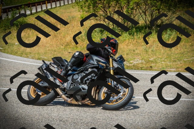 202507051230-DSC06259_c1_