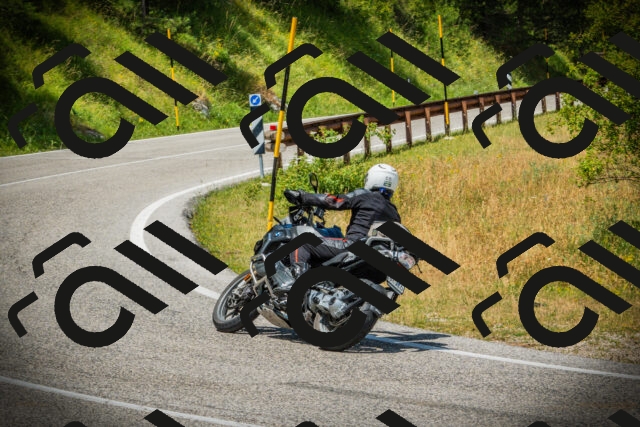 202507051230-DSC06267_c1_