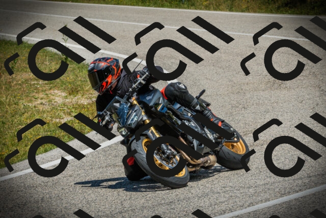 202507051231-DSC06286_c1_