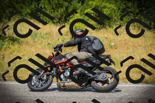 202507051232-DSC06296_c1_