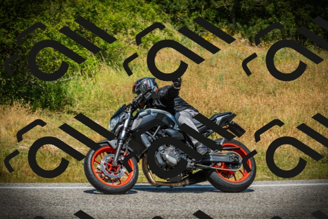 202507051232-DSC06305_c1_