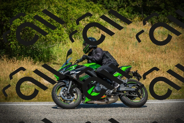 202507051232-DSC06307_c1_