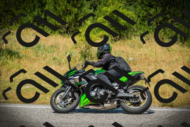 202507051232-DSC06308_c1_