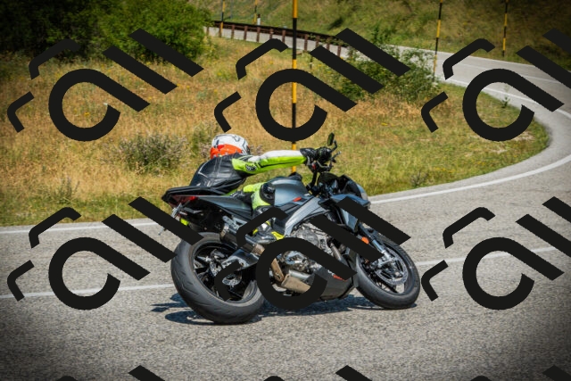 202507051234-DSC06324_c1_