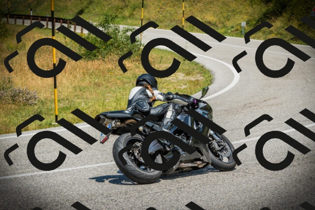 202507051237-DSC06352_c1_