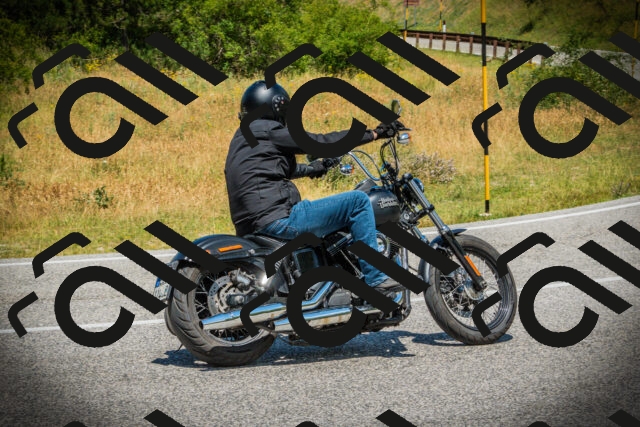 202507051240-DSC06383_c1_