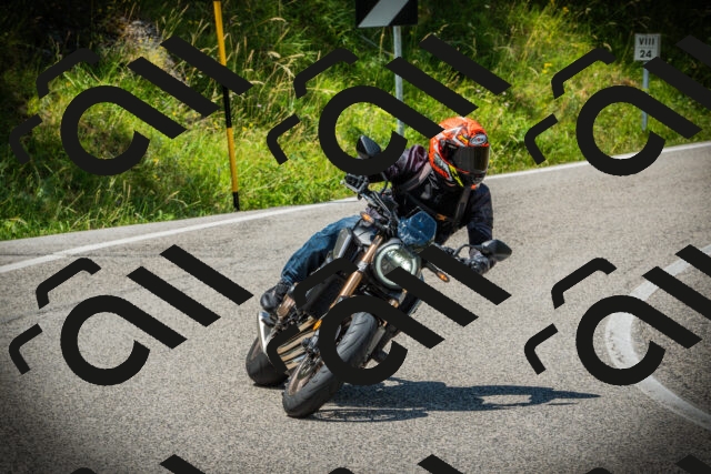 202507051248-DSC06398_c1_