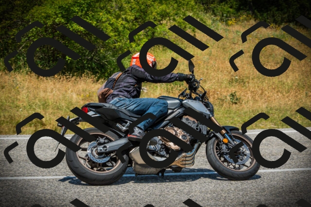 202507051248-DSC06400_c1_