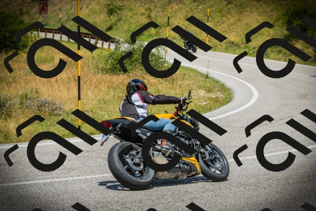 202507051254-DSC06483_c1_