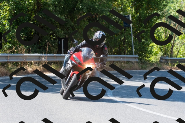 20250705103126_-R022365_r2