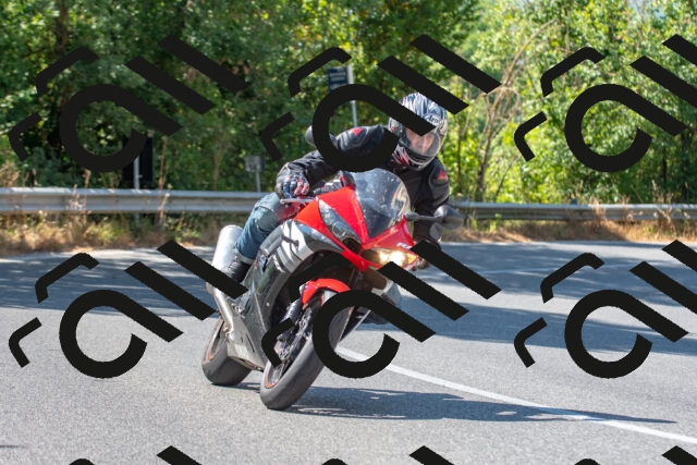 20250705103126_-R022366_r2