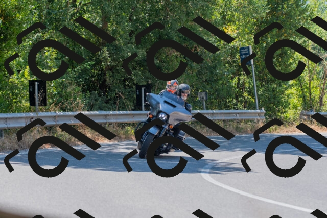 20250705113750_-R022469_r2