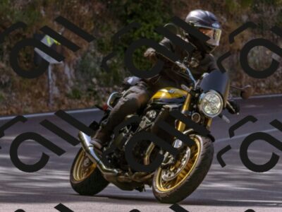 202507061039-_DSC3118_d1_