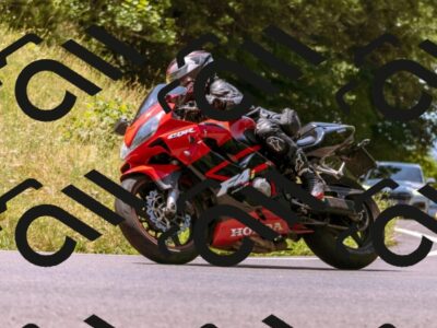 202507061205-_DSC3835_d1_