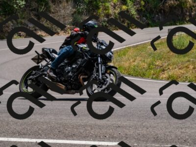 202507061342-_DSC2027_d2_