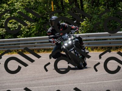 202507061344-_DSC2031_d2_