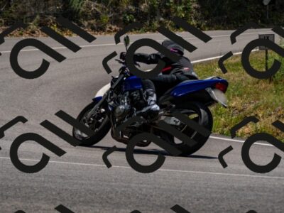 202507061346-_DSC2048_d2_