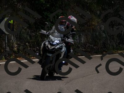 202507061351-_DSC2055_d2_