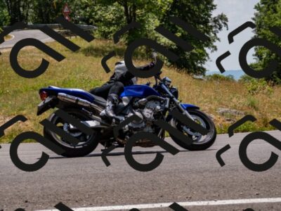 202507061353-_DSC2071_d2_