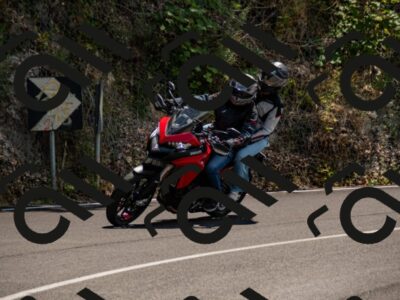 202507061353-_DSC2073_d2_