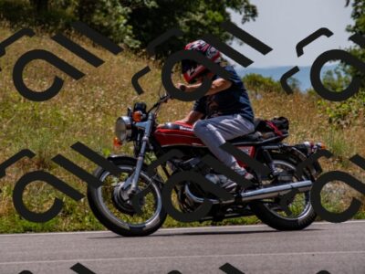 202507061359-_DSC2101_d2_