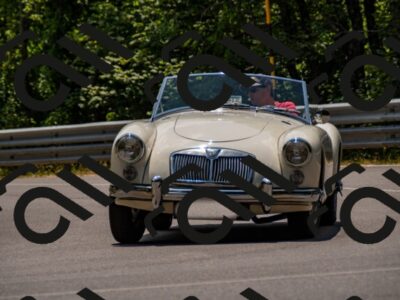 202507061400-_DSC2113_d2_