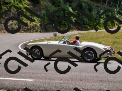 202507061401-_DSC2116_d2_