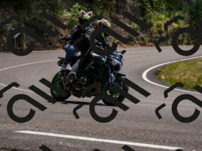 202507061401-_DSC2118_d2_