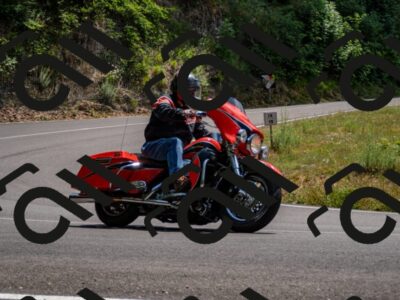 202507061403-_DSC2144_d2_