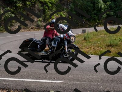 202507061403-_DSC2148_d2_