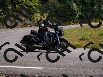 202507061403-_DSC2156_d2_