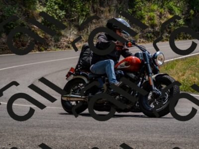 202507061403-_DSC2157_d2_