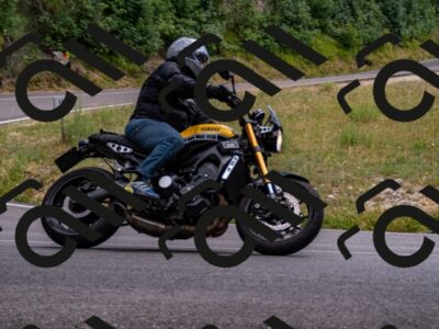 202507061455-_DSC2478_d2_