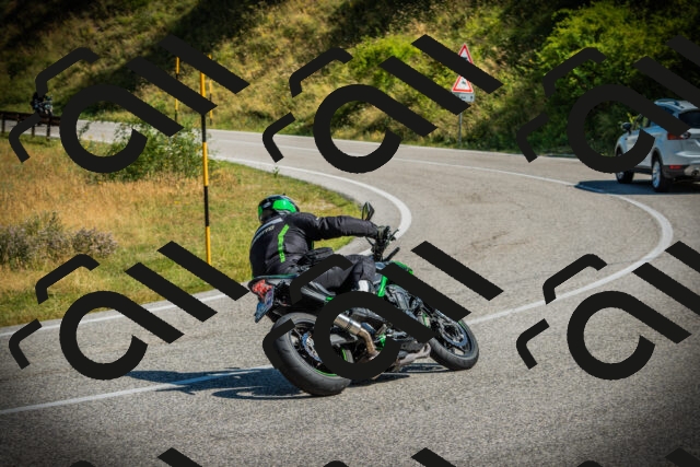 202507061018-DSC06677_c1_