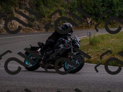 202507061504-_DSC2576_d2_