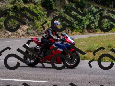 202507061508-_DSC2599_d2_