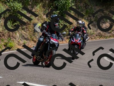 202507061512-_DSC2686_d2_