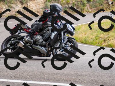 202507061519-_DSC2783_d2_