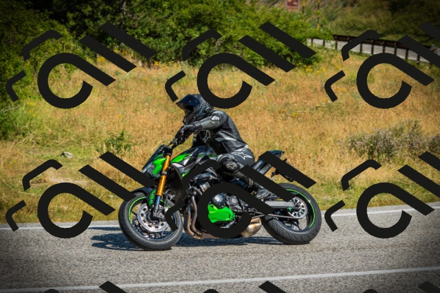 202507061034-DSC06810_c1_