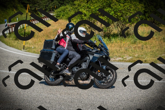 202507061040-DSC06845_c1_