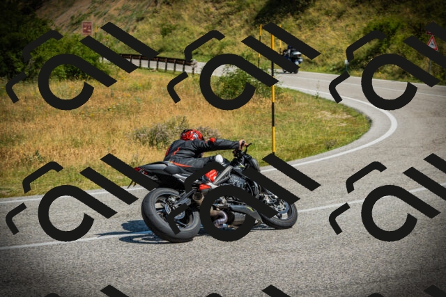 202507061059-DSC07128_c1_