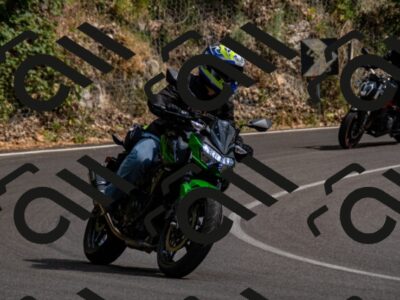 202507061555-_DSC3036_d2_