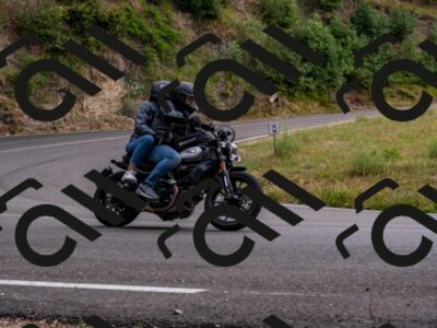 202507061559-_DSC3059_d2_