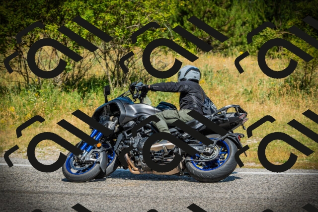 202507061100-DSC07161_c1_