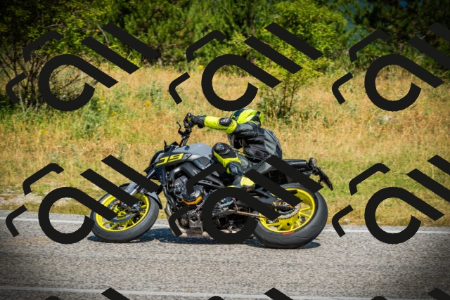 202507061103-DSC07210_c1_