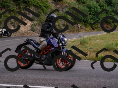 202507061605-_DSC3100_d2_