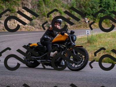 202507061612-_DSC3141_d2_