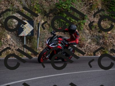 202507061708-_DSC3419_d2_