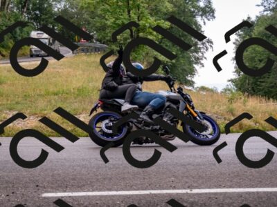 202507061737-_DSC3627_d2_