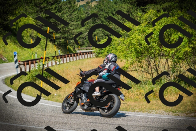 202507061136-DSC07659_c1_